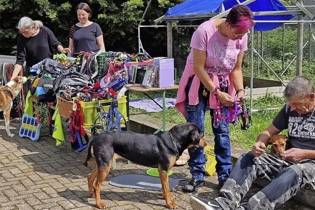 Erster Flohmarkt fr Vierbeiner war ein Erfolg