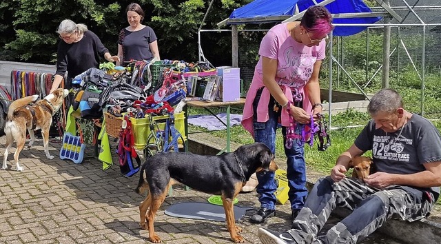 Tierspielzeug, Krbchen und Kissen hab...n Kippenheim die Besitzer gewechselt.   | Foto: Silvia Schillinger-Teschner