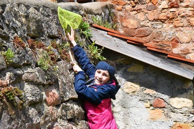 Nika geht am  Mauerwerk von Burg-Rtteln auf Eidechsen-Fang.  | Foto: Maja Tolsdorf
