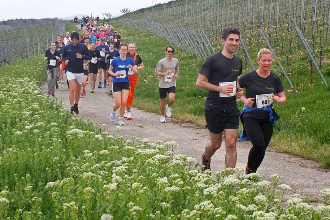Ein Luferpulk durchzieht die frhling...landschaft beim Mllheimer Genusslauf.  | Foto: Winfried Stinn