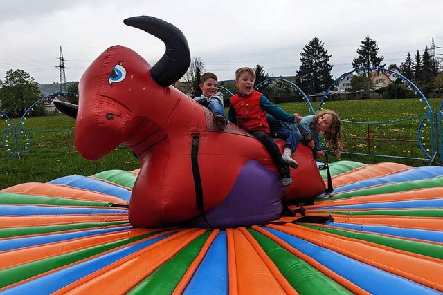 Als der Rodeo-Stier frei wird,  strmen die Tester los.  | Foto: Leony Stabla