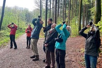Artikel-Bild