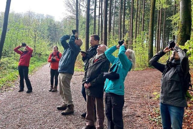 Naturfreunde lauschen dem Vogelgesang auf dem Dinkelberg bei Nordschwaben