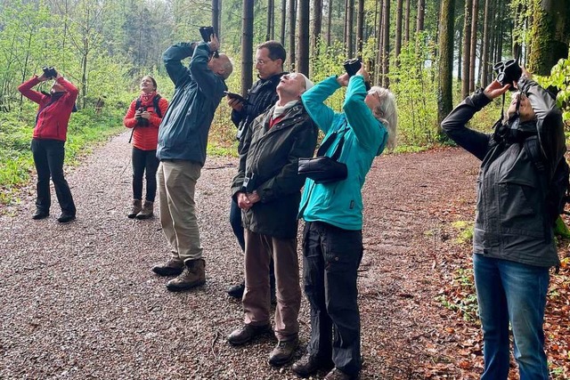 Begeistert zcken die Teilnehmer ihre ... ein Wintergoldhhnchen zu beobachten.  | Foto: Valerie Wagner