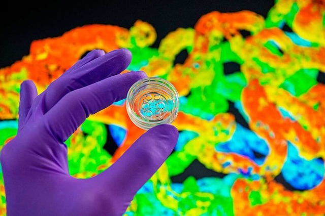 Das neue Roche-Institut arbeitet mit M...ie aus Stammzellen hergestellt werden.  | Foto: Roche