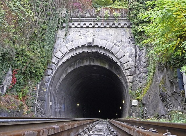 Der Rappensteintunnel wird 18 Monate lang saniert.  | Foto: Saskia Baumgartner