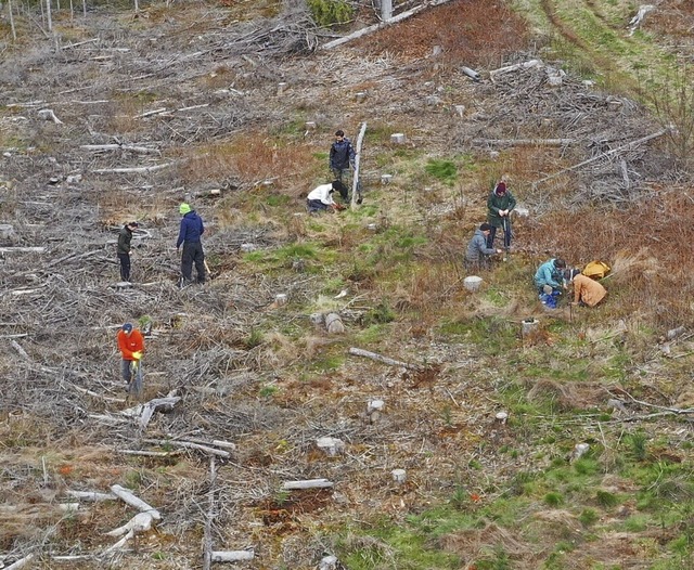 Das Ausma der Zerstrung im Schwarzwa...egen will die Organisation etwas tun.   | Foto: Ursula Ortlieb