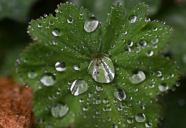 Der April war eher kalt und nass.  | Foto: Bernd Weibrod (dpa)