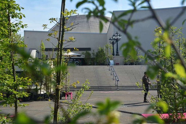 Den Sommer ber grn: Ein mobiler Wald wchst am Basler Theaterplatz.  | Foto: Savera Kang