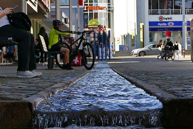 Trotz des vielen Regens ist es am Hochrhein zu trocken