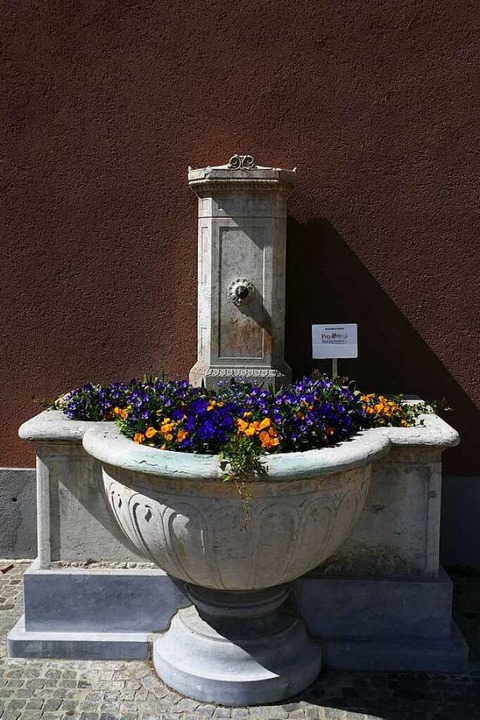 In diesem Brunnen wachsen nun Blumen.  | Foto: Florian Schmieder