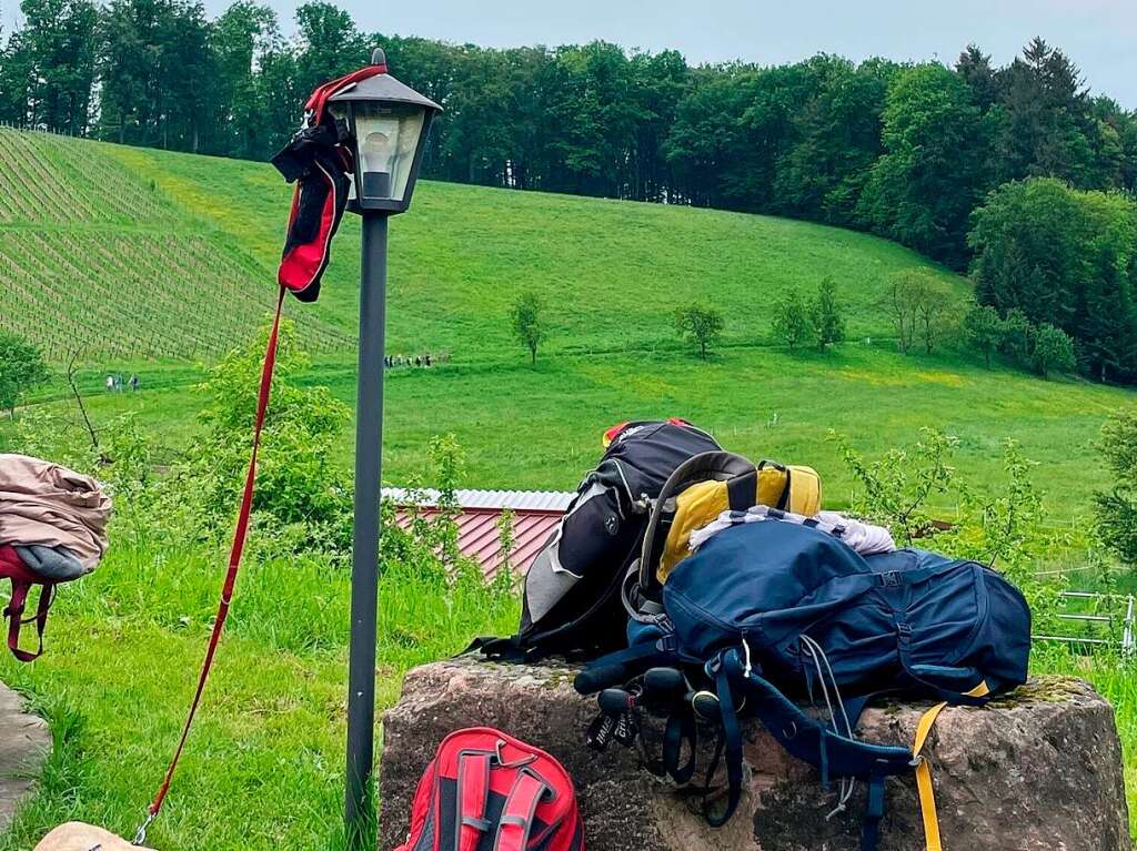 Von Weingut zu Weingut zogen wein- und wanderlustige Menschen am Sonntag in Gundelfingen-Wildtal.