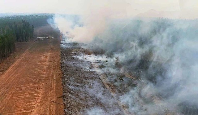 Auf diesem von der Feuerwehr von Alber...nntes Waldstck in der Nhe von Edson,  | Foto: Gov. of Alberta Fire Service (dpa)