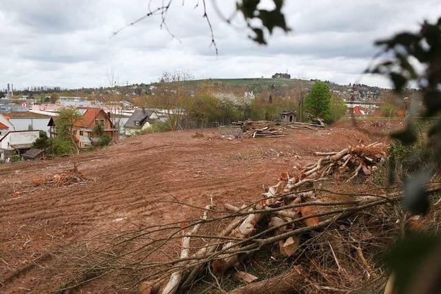 Flle wie der Kahlschlag in Lahr-Mietersheim sind ein Frevel