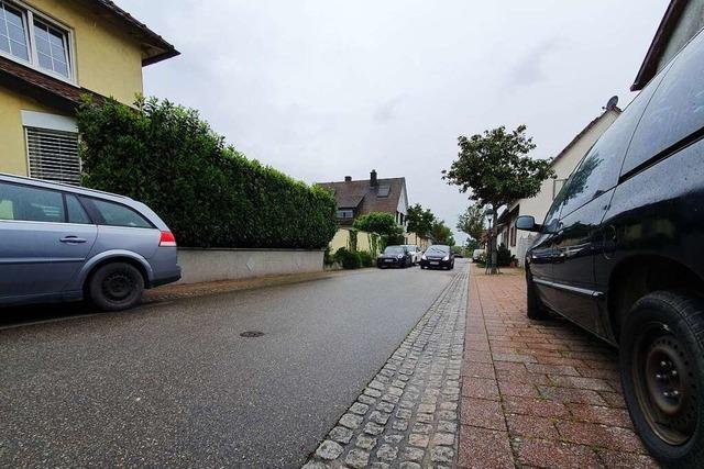 Initiative will Bürgerentscheid zum Parkraumkonzept in Neuenburg
