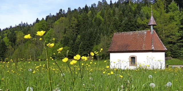   | Foto: Hansjrg Vgele