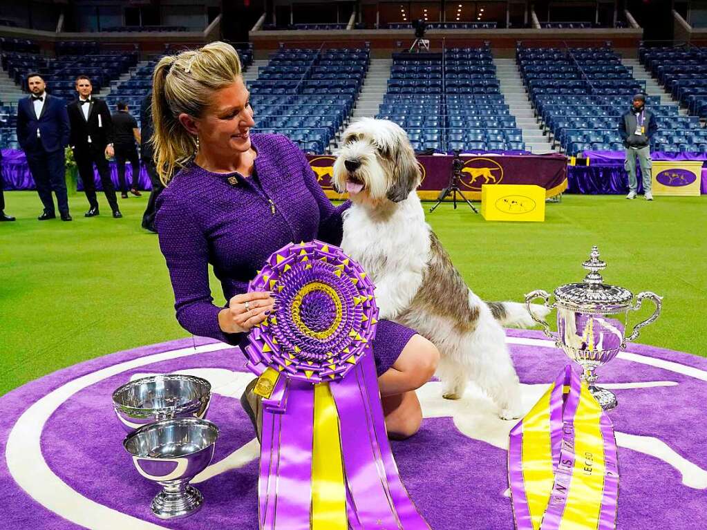 Glcklicher Gesamtgewinner: Buddy Holly, der Petit Basset Griffon Vendeen