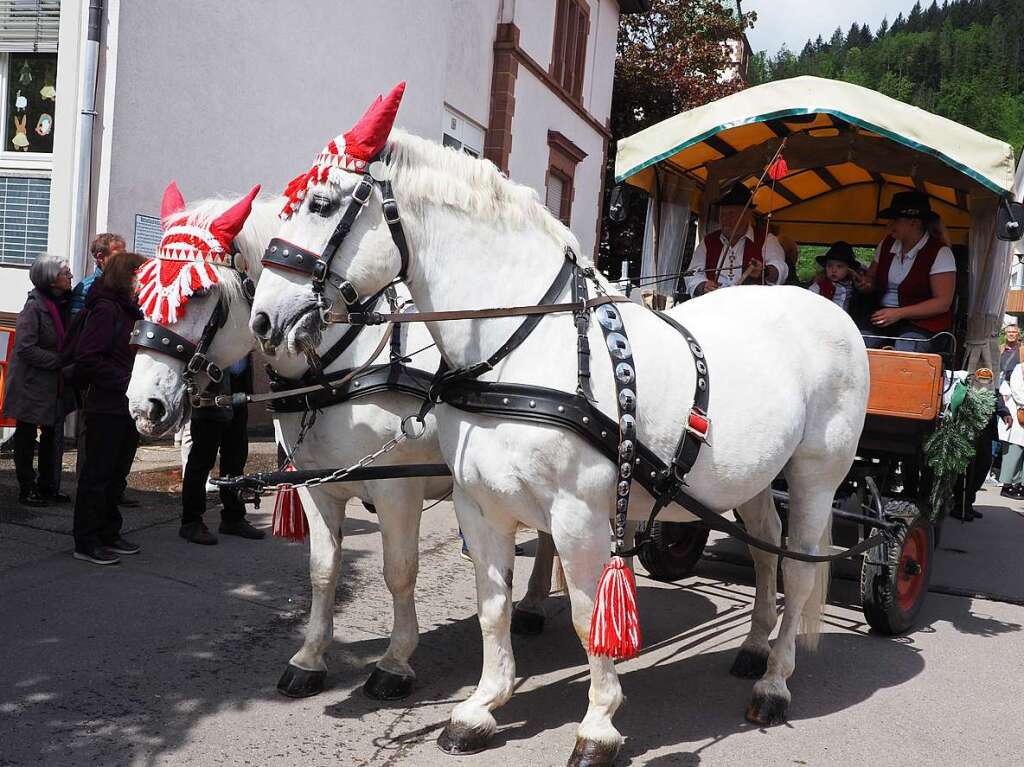 Traditionell wird am 10. Mai in Hausen im Wiesental das Hebel-Fest gefeiert.