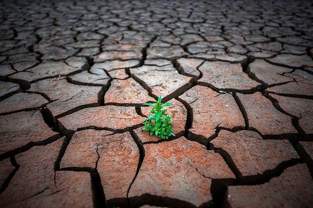 Im Sden des Landes ist es bereits so ..., dass der Boden tiefe Risse aufweist.  | Foto: Emilio Morenatti (dpa)