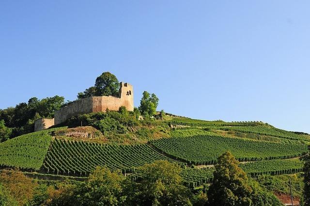 Die Weinkult Breisgau im Hecklinger Schlosshof wird um einen Genussmarkt ergnzt