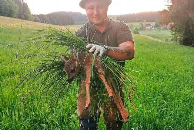 Viele Tierleben knnen gerettet werden