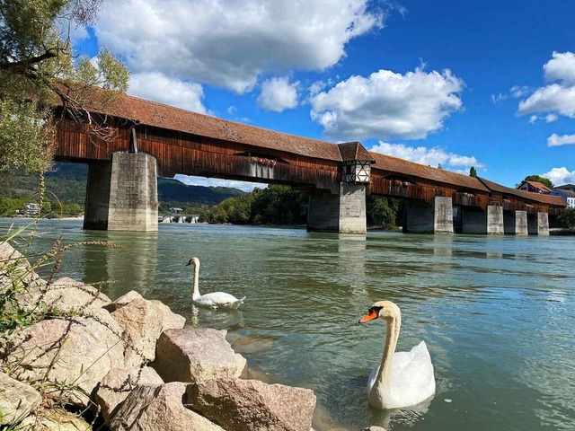 Die Holzbrcke in Bad Sckingen  | Foto: Lisa Petrich