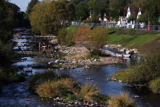 Die renaturierte Elz in Waldkirch  | Foto: Patrik Mller