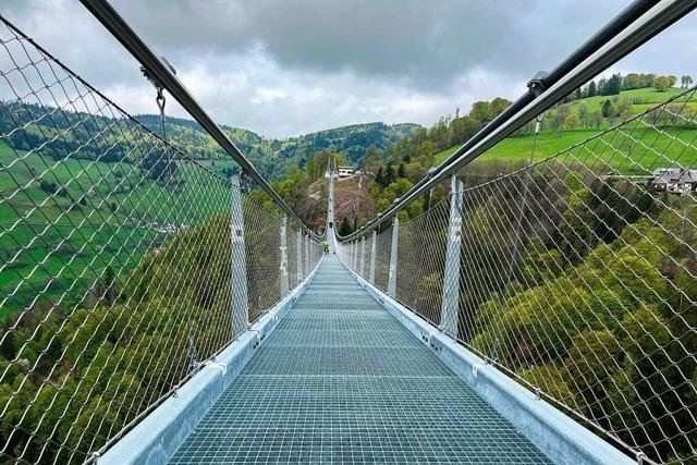 Die Draufgängerin, der Normalo, der Höhenangsthase: Die BZ testet die Hängebrücke in Todtnau