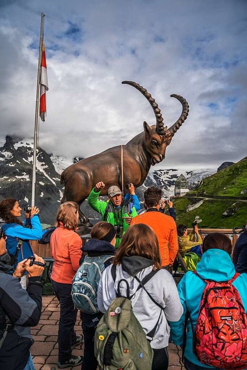 Bei Wanderungen zu den Steinböcken erh...e Begegnung mit den Königen der Alpen.  | Foto: Peter Maier (dpa)
