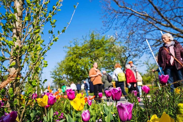 Besucher der Gartenschau in Neuenburg betrachten die Blumenfelder.  | Foto: Benedikt Spether (dpa)