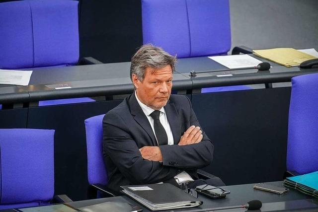 Die Nerven bei den Grnen im Bundestag liegen blank