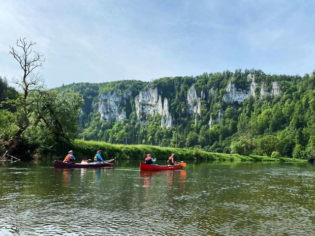 Die Naturfreunde bei einer Bootstour im Donautal im Juni 2021.  | Foto: Verein