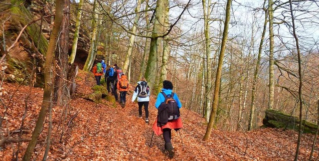 Die Naturfreunde bei einer Wandertour im Pflzerwald.  | Foto: Verein