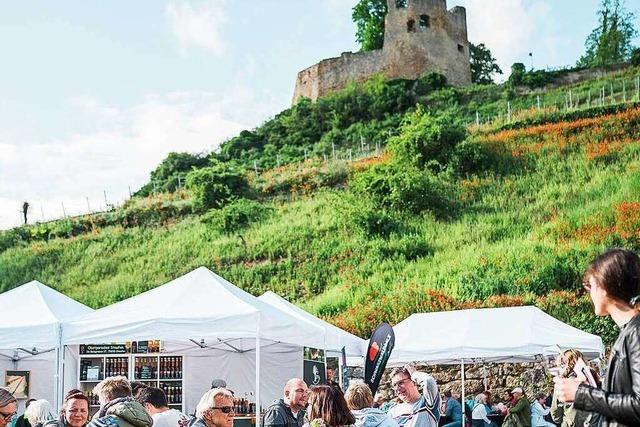 Fotos: Weinkult Breisgau trifft BZ-Genussmarkt im Schlosshof Hecklingen