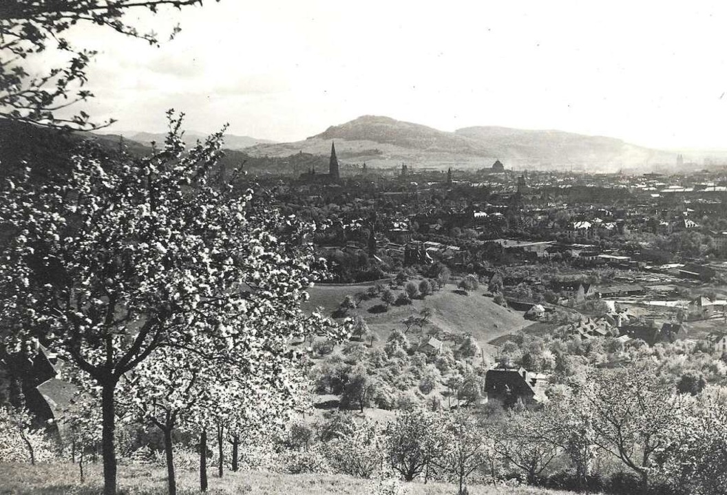 Dieses Foto entstand um 1930, ebenfall...erhalb der Bäume auf der linken Seite.  | Foto: Archiv Hans Sigmund