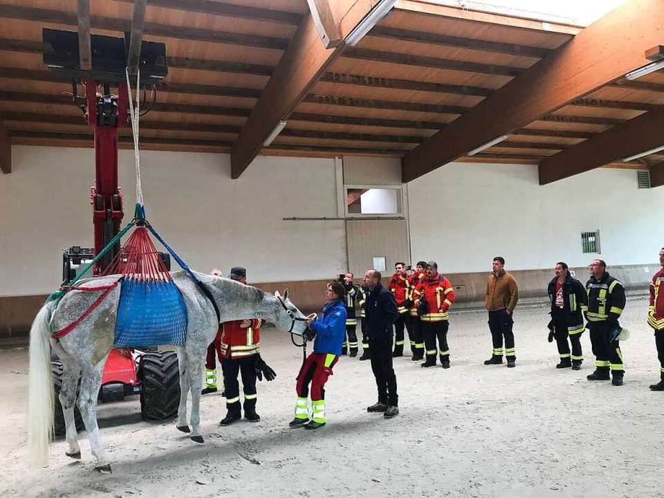 Mit einem Rettungsnetz knnen Pferde g...egrube oder einen Fluss gefallen sind.  | Foto: Jutta Schtz