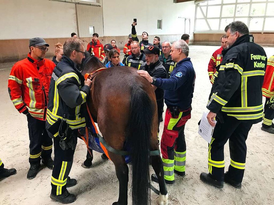 Die Teilnehmer lernten, wie man einem Pferd eine Feuerwehr-Rettungsmatte anlegt.  | Foto: Jutta Schütz