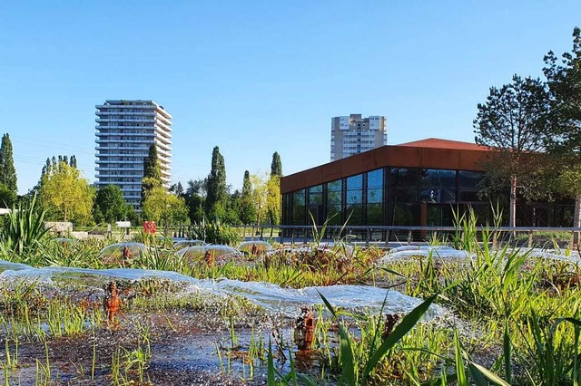 Das Gastronomiegebude im Seepark  | Foto: Karl Kovacs