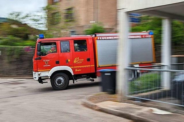 Retter der Feuerwehr aus dem Landkreis Waldshut drücken die Schulbank