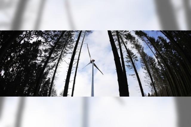 Windkraft im Wald