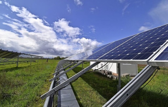 In Merdingen werden auf drei Hektar Wiese jetzt Solaranlagen getestet.  | Foto: Kathrin Blum