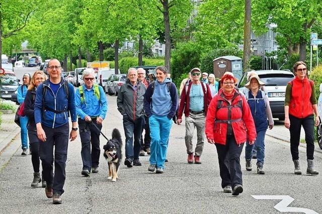 Die Freiburger Naturfreunde bieten Wanderungen mit Lerneffekt