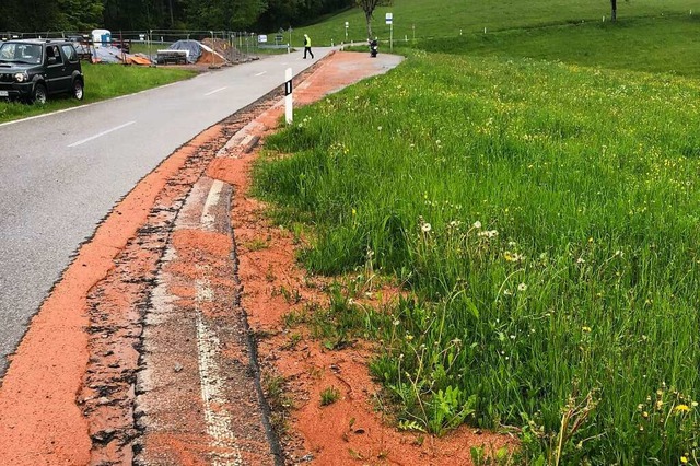 Der Frsbereich soll jetzt auf ganzer ...bschnitt, der per Ampel geregelt wird.  | Foto: privat