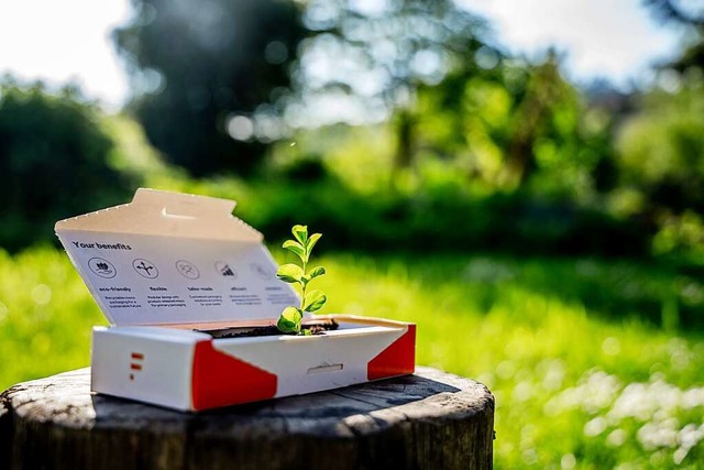 Faller will in Zukunft noch nachhaltigere Verpackungen entwickeln.  | Foto: Faller Packaging/Fokus-Schwarzwald