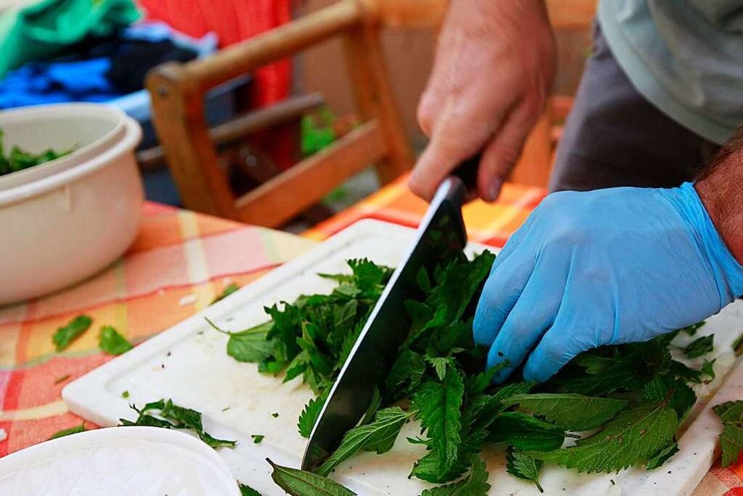 Ab damit in den Salat: Brennnessel sin...tamin C, Eisen, Kalium und Flavonoide.  | Foto: Florian Schuh (dpa)