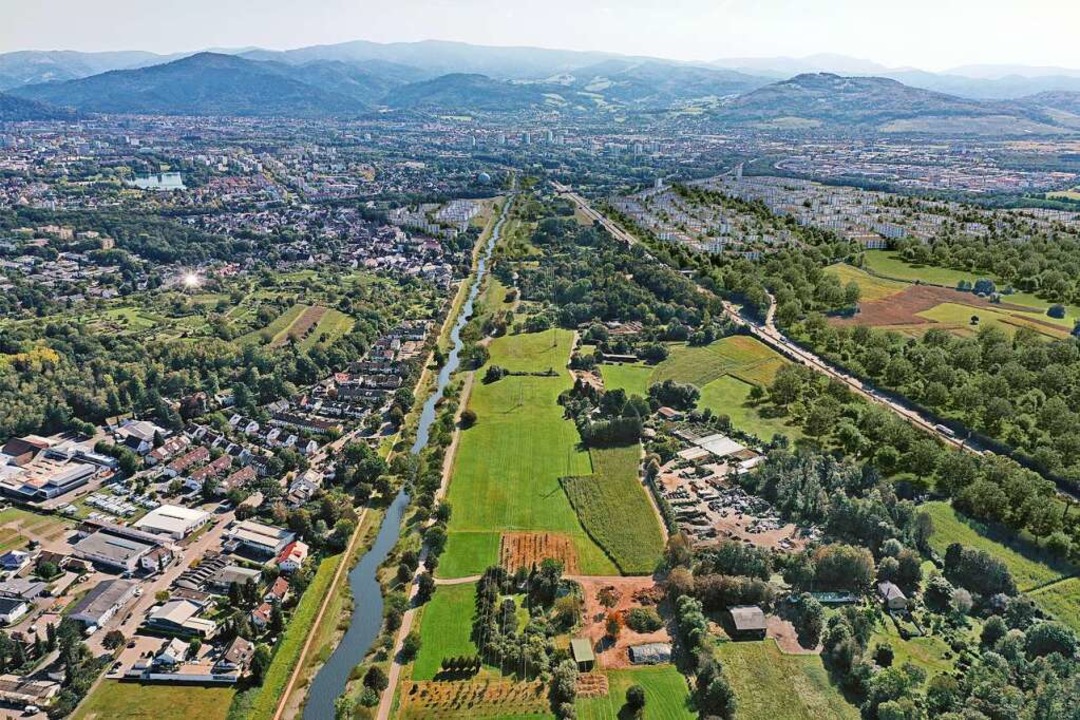 Der westliche Bereich der Dreisam soll in Freiburg naturnah gestaltet werden.  | Foto: LINK 3D