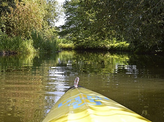 Naturparadies  Alte Elz  | Foto: Lena Marie Jrger