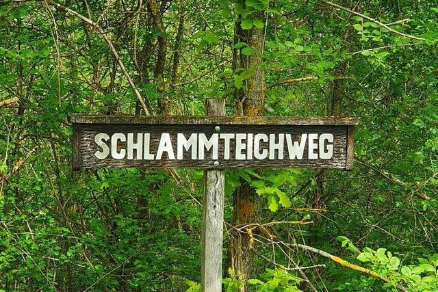 Wie viel Salzlauge hat das Bugginger Kaliwerk einst in den Griheimer Rheinwald gepumpt?