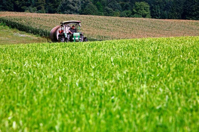 ko-Landwirte sollen knftig bei der Verpachtung Vorrang haben.  | Foto: Tobias Hase