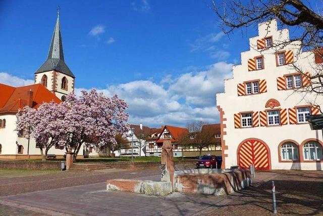Nicht alle Friesenheimer Gemeinderäte wollen die kostenlose Beratung der IHK